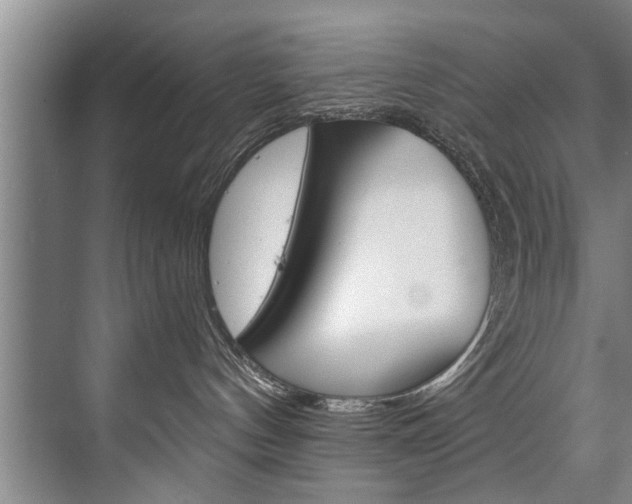 X0000073750144200608031145