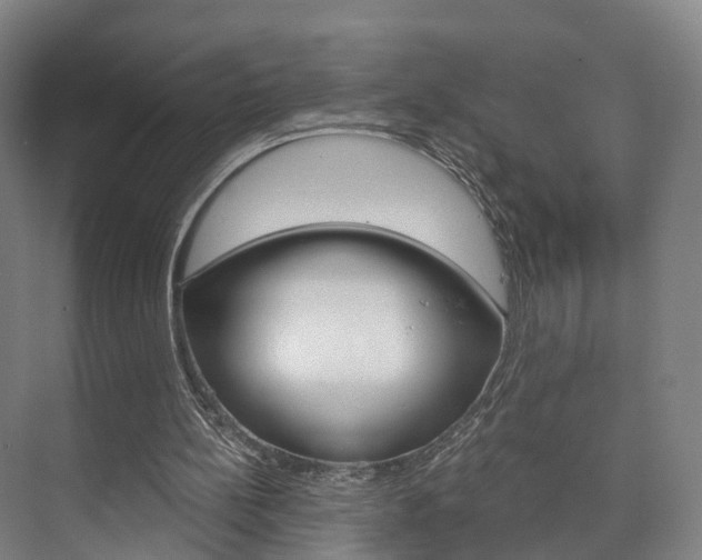 X0000073750148200608031144