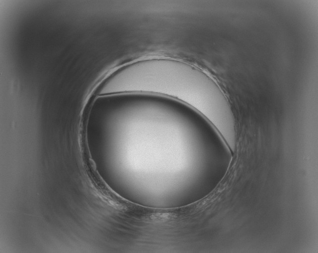 X0000073750152200608031144