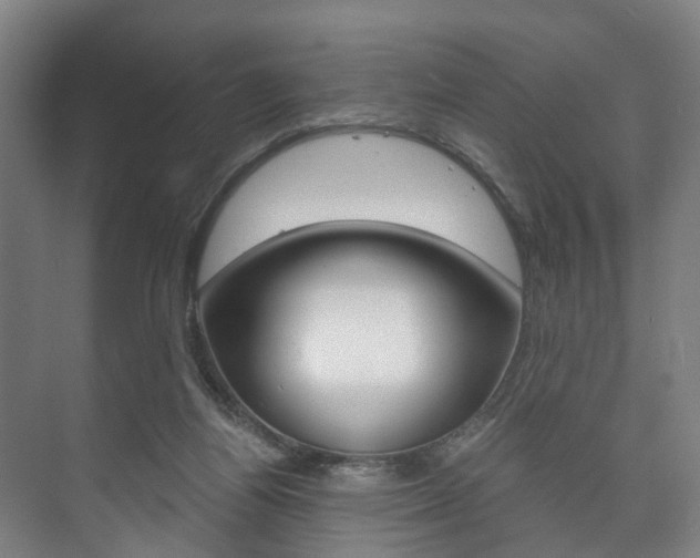 X0000073750164200608031144