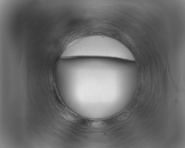 X0000073750173200608031145