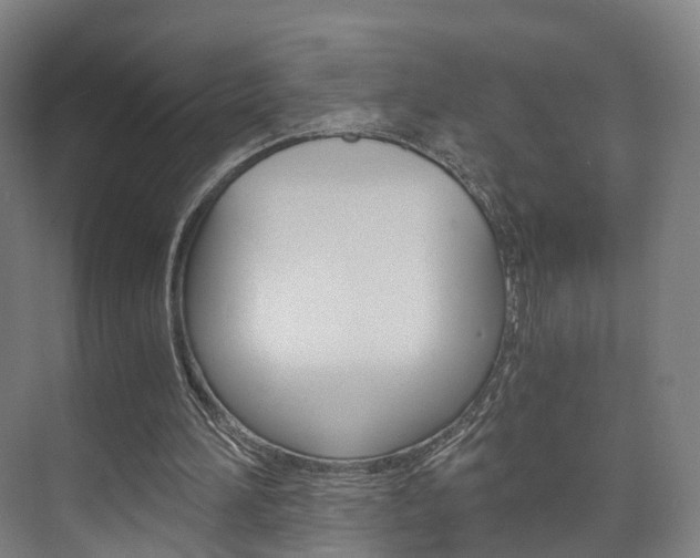 X0000073750196200608031144