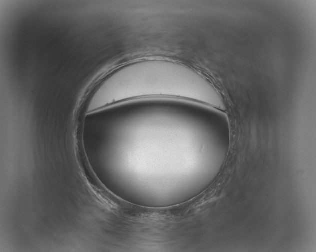 X0000073750197200608031144
