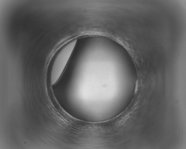 X0000073750199200608031144