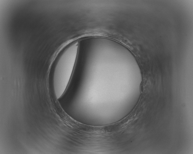 X0000073750200200608031144