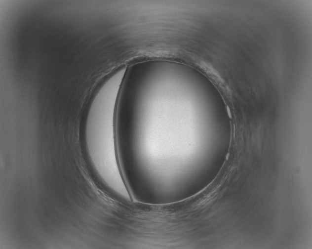 X0000073750201200608031144