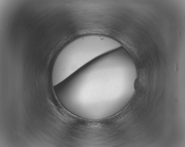 X0000073750206200608031144