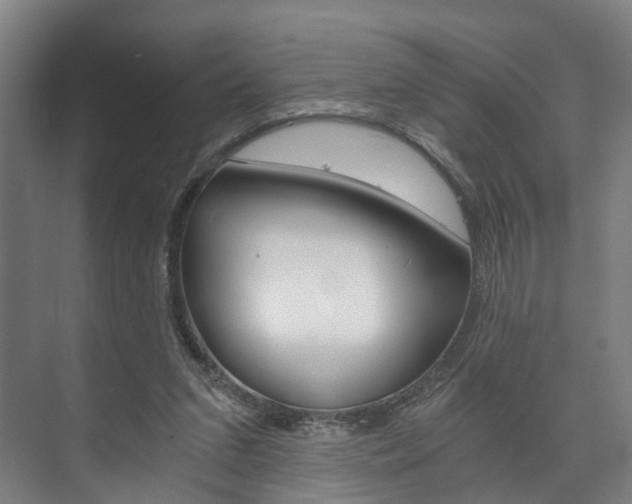 X0000073750207200608031144