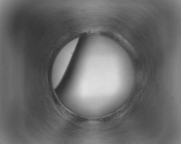 X0000073750209200608031144