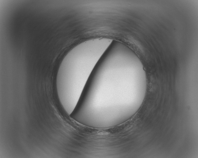 X0000073750210200608031144