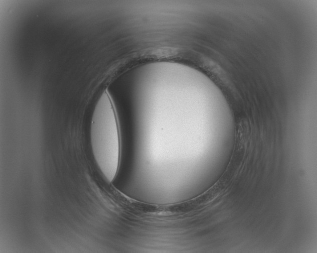 X0000073750212200608031144