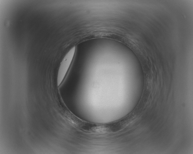 X0000073750219200608031144