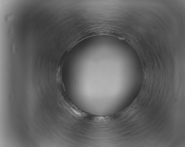 X0000073750239200608031143