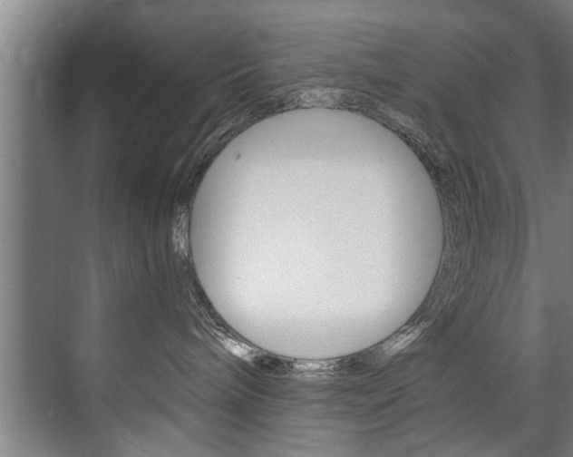 X0000073750240200608031143