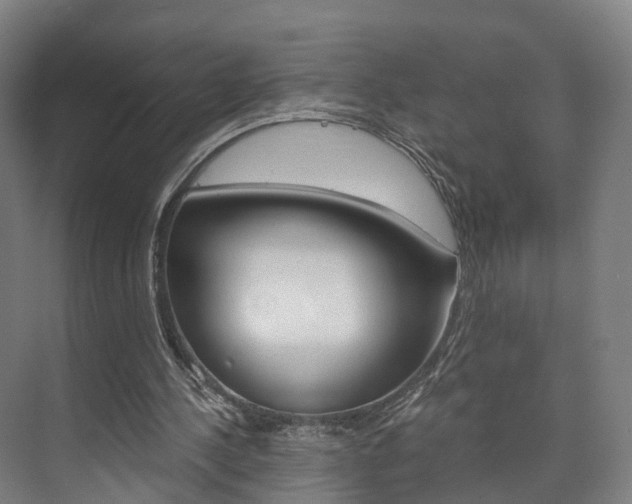 X0000073750244200608031142