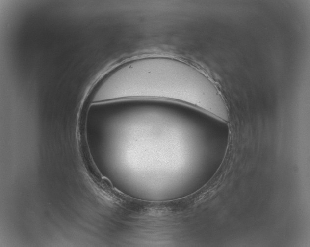 X0000073750248200608031143