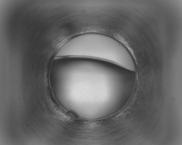 X0000073750249200608031143