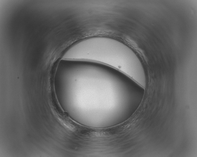 X0000073750250200608031143