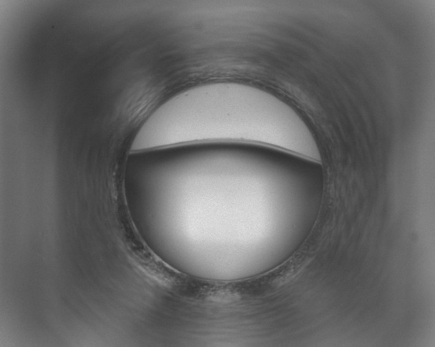 X0000073750258200608031143