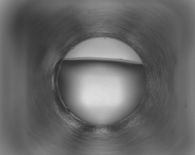 X0000073750262200608031143