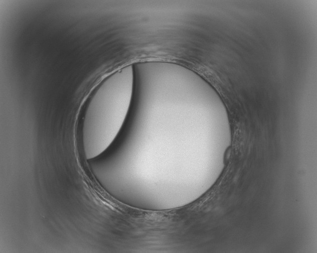 X0000073750290200608031142