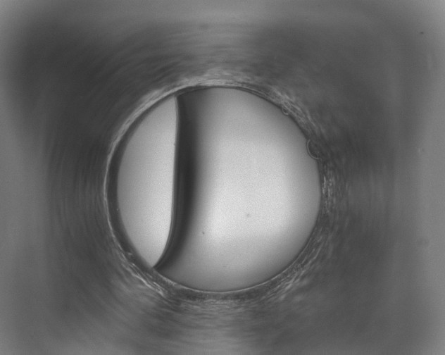X0000073750292200608031142