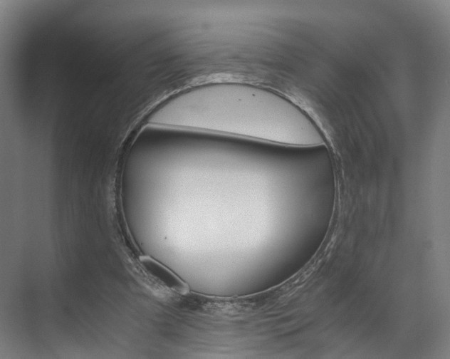 X0000073750297200608031142