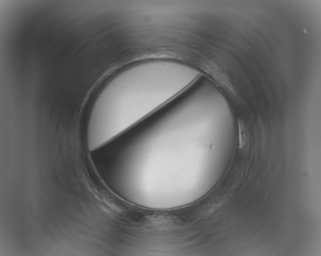 X0000073750300200608031142