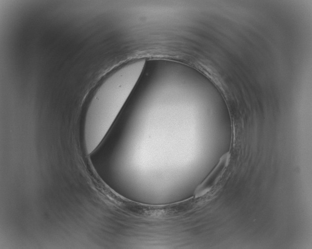 X0000073750301200608031142