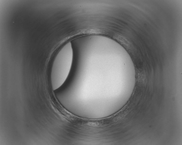 X0000073750302200608031142