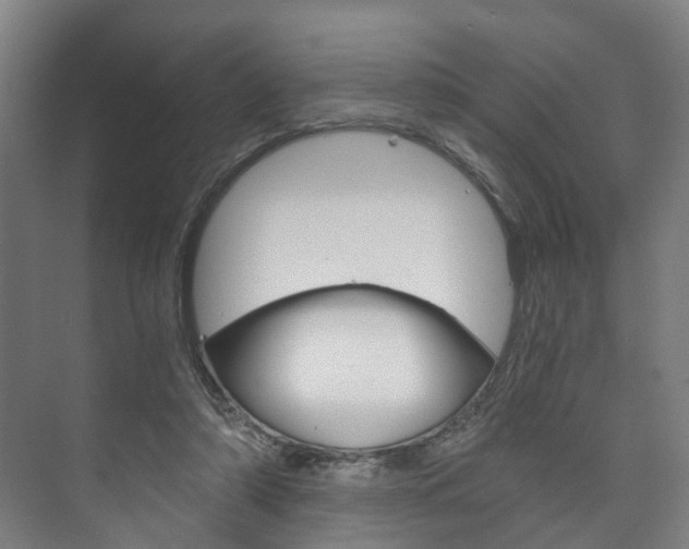 X0000073750306200608031142