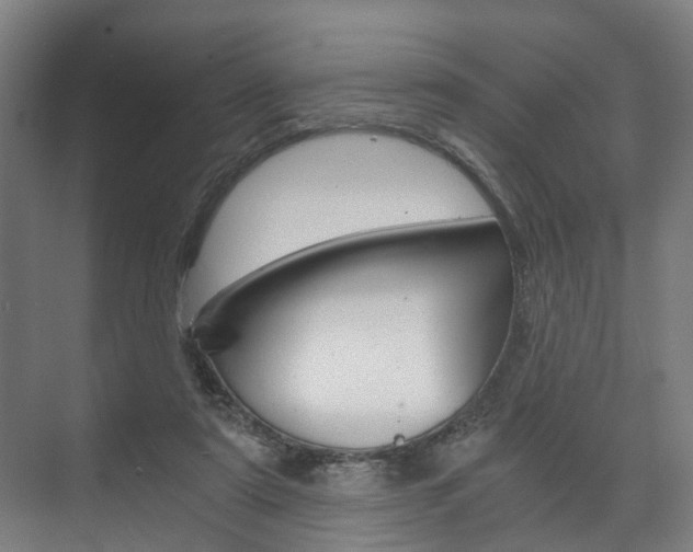 X0000073750307200608031142