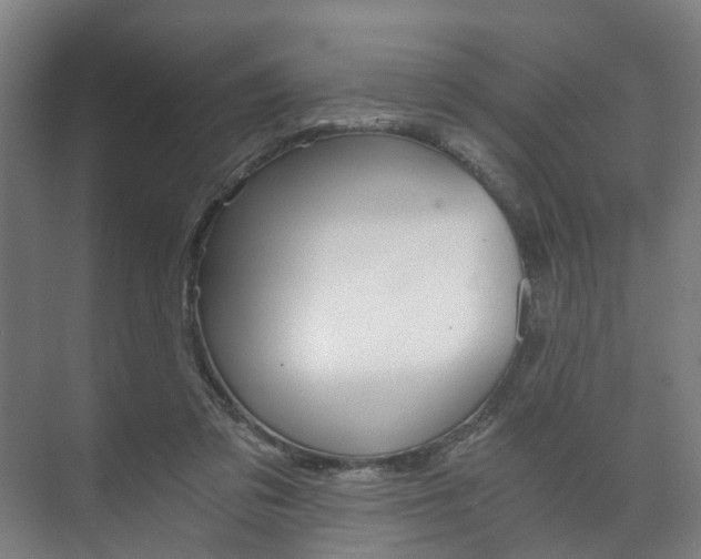 X0000073750309200608031142