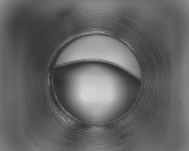X0000073750350200608031141