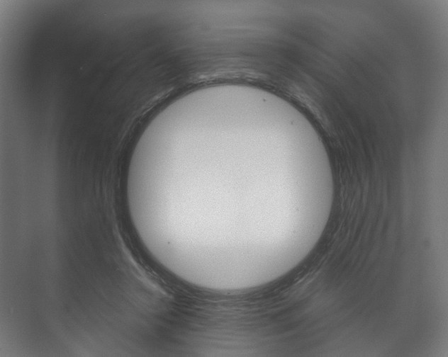 X0000073750356200608031141