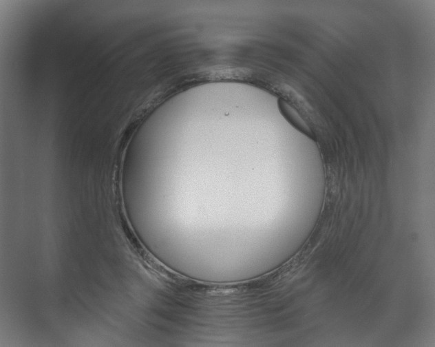 X0000073750357200608031141