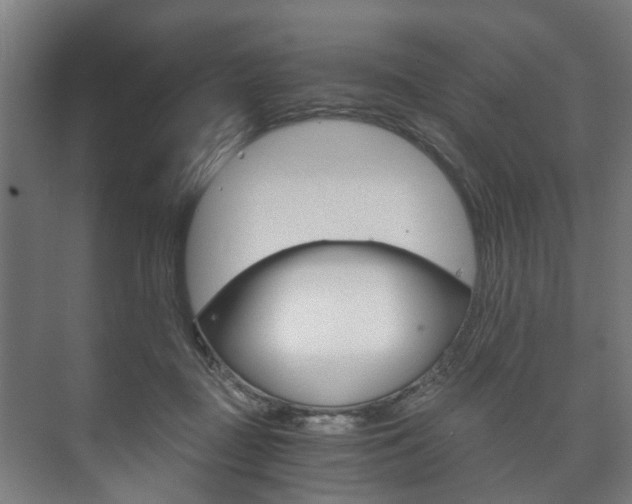 X0000073750363200608031141