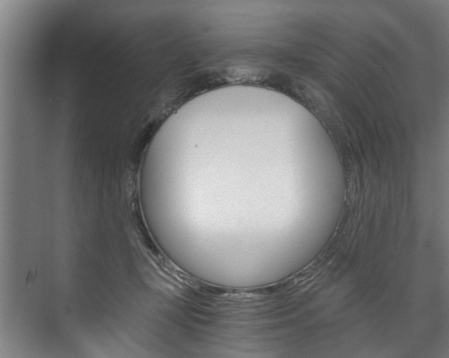 X0000073750367200608031141
