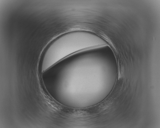 X0000073750387200608031141