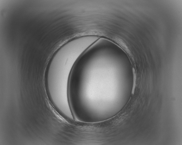 X0000073750389200608031141