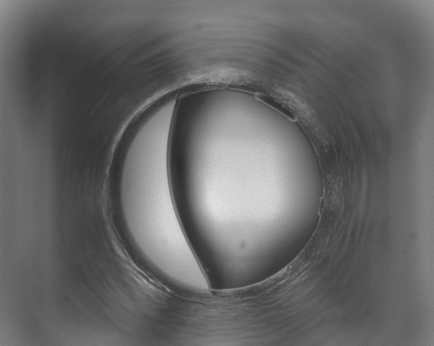 X0000073750392200608031141