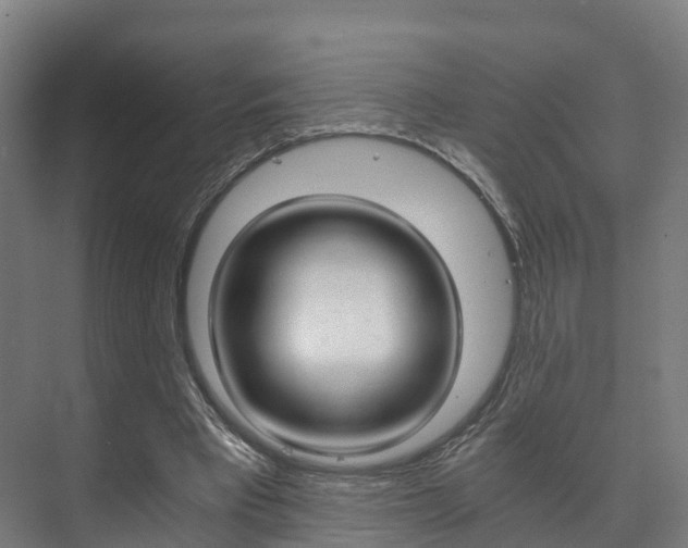 X0000073750393200608031141