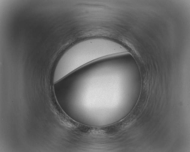 X0000073750403200608031141