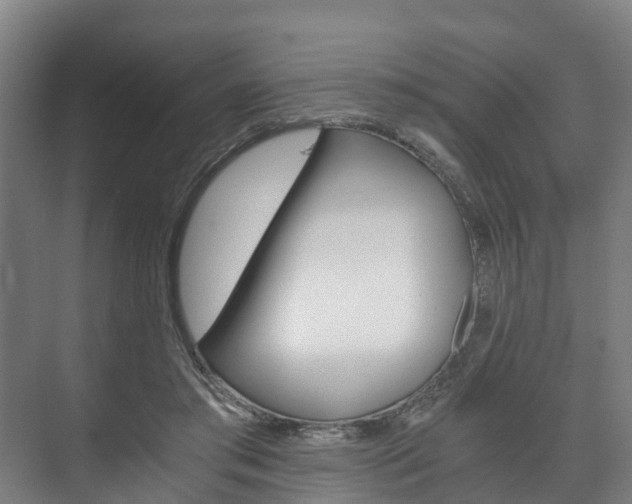 X0000073750405200608031140