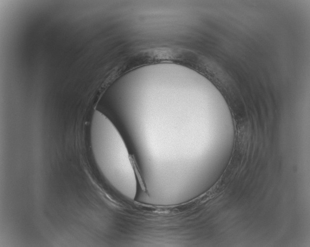 X0000073750406200608031140