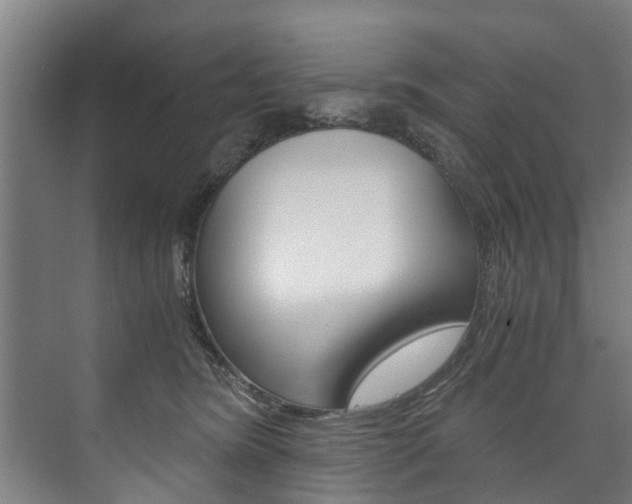 X0000073750420200608031140