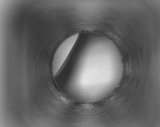 X0000073750424200608031140