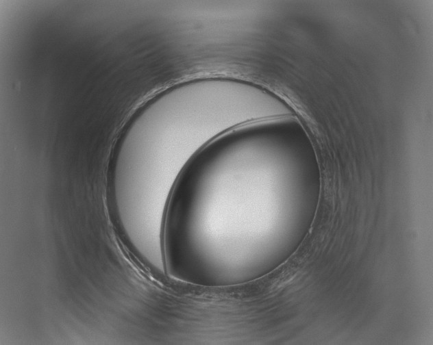 X0000073750434200608031139