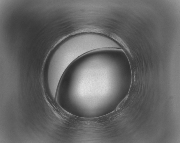 X0000073750436200608031139