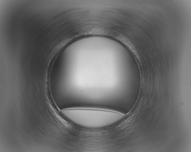 X0000073750437200608031139